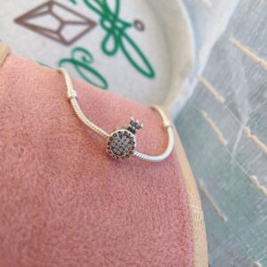 Charm Corona Pand circ
