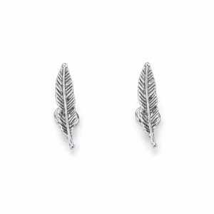 Caravanas Pluma