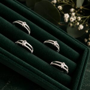 Anillo Doble